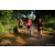 Team 302 / Raid Amazones Sri Lanka 2022 - J1 Trail