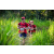 Team 302 / Raid Amazones Sri Lanka 2022 - J1 Trail