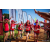 Team 15 / Raid Amazones Sri Lanka 2022 - J1 Trail