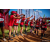 Team 305 / Raid Amazones Sri Lanka 2022 - J1 Trail