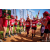 Team 13 / Raid Amazones Sri Lanka 2022 - J1 Trail