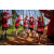 Team 86 / Raid Amazones Sri Lanka 2022 - J1 Trail