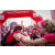 Team 63 / Raid Amazones Sri Lanka 2022 - J1 Trail