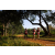 Team 301 / Raid Amazones Sri Lanka 2022 - J1 Trail