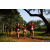 Team 306 / Raid Amazones Sri Lanka 2022 - J1 Trail