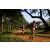 Team 18 / Raid Amazones Sri Lanka 2022 - J1 Trail