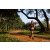 Team 18 / Raid Amazones Sri Lanka 2022 - J1 Trail