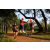 Team 302 / Raid Amazones Sri Lanka 2022 - J1 Trail