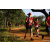 Team 10 / Raid Amazones Sri Lanka 2022 - J1 Trail