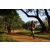 Team 305 / Raid Amazones Sri Lanka 2022 - J1 Trail