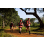 Team 314 / Raid Amazones Sri Lanka 2022 - J1 Trail