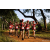 Team 315 / Raid Amazones Sri Lanka 2022 - J1 Trail