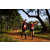 Raid Amazones Sri Lanka 2022 - J1 Trail