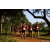 Team 316 / Raid Amazones Sri Lanka 2022 - J1 Trail