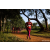 Team 13 / Raid Amazones Sri Lanka 2022 - J1 Trail
