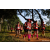 Team 303 / Raid Amazones Sri Lanka 2022 - J1 Trail