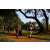 Team 14 / Raid Amazones Sri Lanka 2022 - J1 Trail