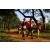 Team 326 / Raid Amazones Sri Lanka 2022 - J1 Trail