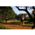 Team 326 / Raid Amazones Sri Lanka 2022 - J1 Trail