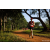 Team 326 / Raid Amazones Sri Lanka 2022 - J1 Trail