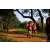 Team 34 / Raid Amazones Sri Lanka 2022 - J1 Trail