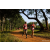 Team 44 / Raid Amazones Sri Lanka 2022 - J1 Trail
