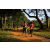 Team 35 / Raid Amazones Sri Lanka 2022 - J1 Trail