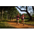 Team 32 / Raid Amazones Sri Lanka 2022 - J1 Trail