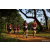 Team 38 / Raid Amazones Sri Lanka 2022 - J1 Trail