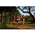 Team 23 / Raid Amazones Sri Lanka 2022 - J1 Trail