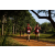 Team 37 / Raid Amazones Sri Lanka 2022 - J1 Trail