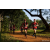 Team 47 / Raid Amazones Sri Lanka 2022 - J1 Trail