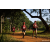 Team 33 / Raid Amazones Sri Lanka 2022 - J1 Trail