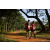 Team 28 / Raid Amazones Sri Lanka 2022 - J1 Trail