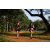 Team 101 / Raid Amazones Sri Lanka 2022 - J1 Trail
