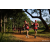 Team 65 / Raid Amazones Sri Lanka 2022 - J1 Trail