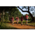Team 49 / Raid Amazones Sri Lanka 2022 - J1 Trail