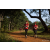 Team 40 / Raid Amazones Sri Lanka 2022 - J1 Trail