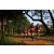 Team 56 / Raid Amazones Sri Lanka 2022 - J1 Trail