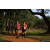 Team 323 / Raid Amazones Sri Lanka 2022 - J1 Trail