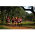 Team 76 / Raid Amazones Sri Lanka 2022 - J1 Trail