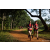 Team 55 / Raid Amazones Sri Lanka 2022 - J1 Trail