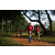 Team 74 / Raid Amazones Sri Lanka 2022 - J1 Trail