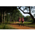Team 77 / Raid Amazones Sri Lanka 2022 - J1 Trail