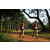 Team 97 / Raid Amazones Sri Lanka 2022 - J1 Trail