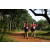 Team 46 / Raid Amazones Sri Lanka 2022 - J1 Trail