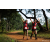 Team 86 / Raid Amazones Sri Lanka 2022 - J1 Trail