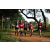 Team 63 / Raid Amazones Sri Lanka 2022 - J1 Trail