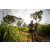 Team 12 / Raid Amazones Sri Lanka 2022 - J1 Trail
