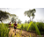 Raid Amazones Sri Lanka 2022 - J1 Trail